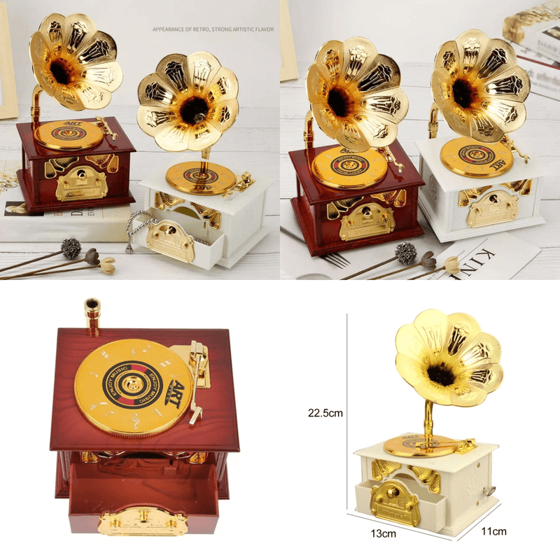 Gramophone style music storage box