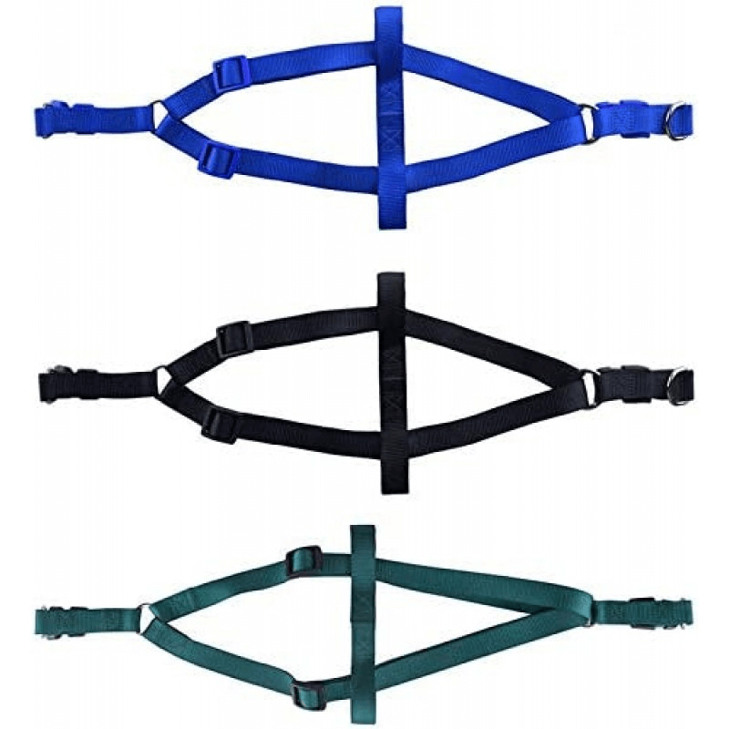 No pull puppy harness with leash