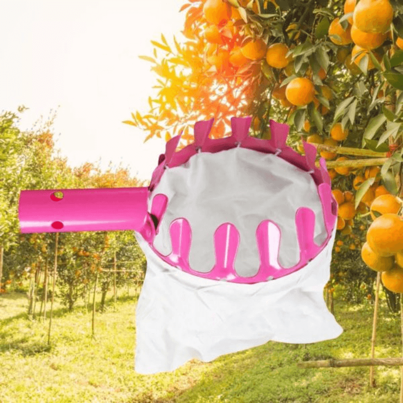 Round fruit picker