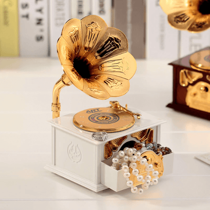 Gramophone style music storage box