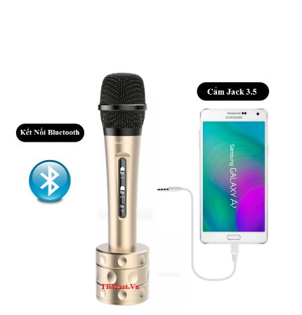 Microphone cordless karaoke with mic