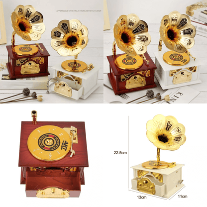 Gramophone style music storage box