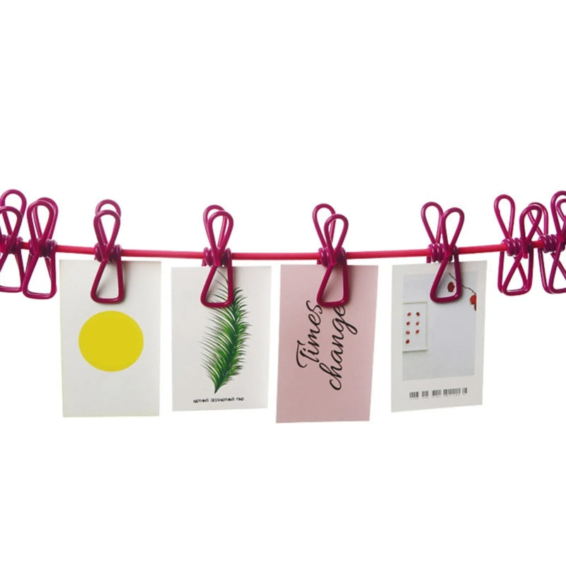 Portable Elastic Rope Washing Line With 12 Clips