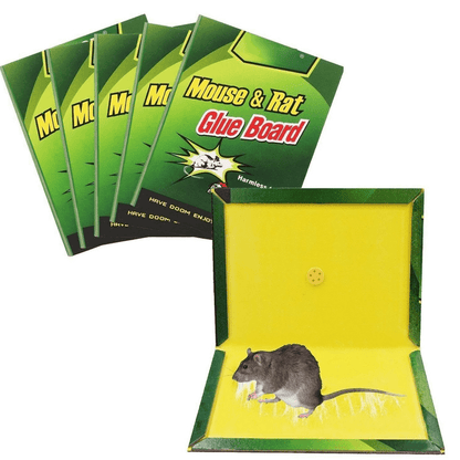 Mouse trap pack of 10
