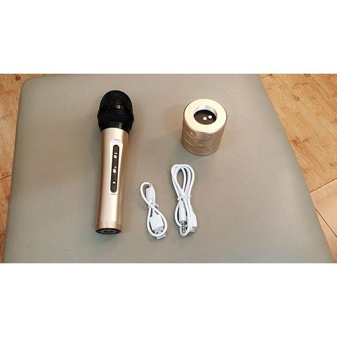 Microphone cordless karaoke with mic