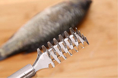 Fish Scale Remover Fish