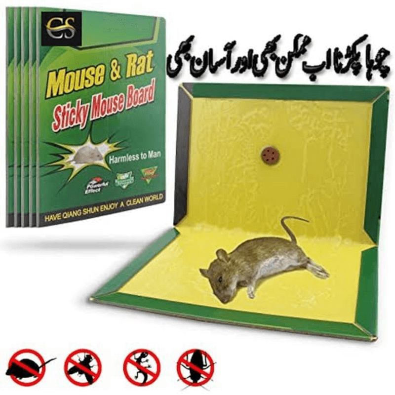 Mouse trap pack of 10