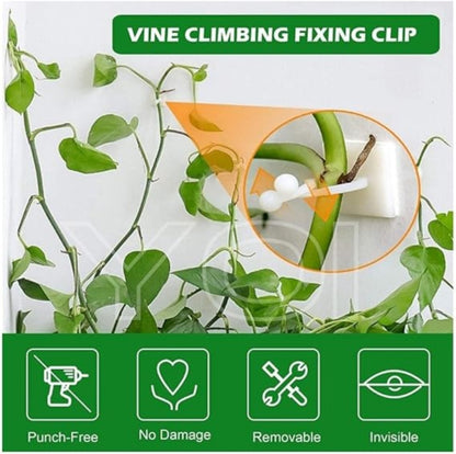 10pcs self adhesive plant climbing wall clip