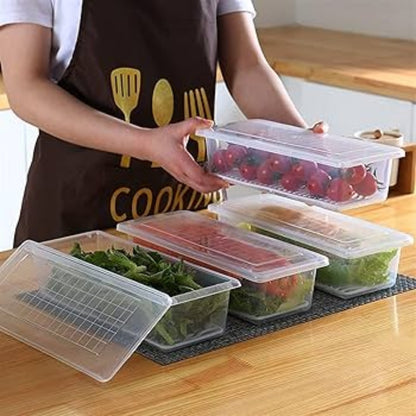 4 compartment freezer box