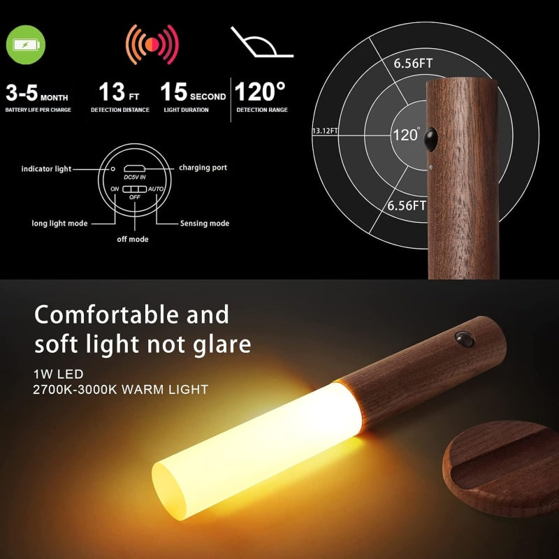 Intelligent induction light
