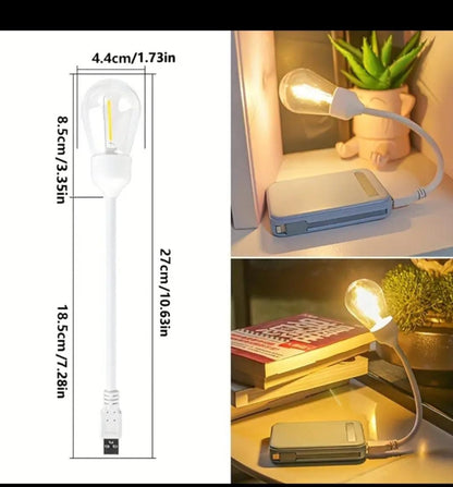 Portable camping lamp  reading bulb
