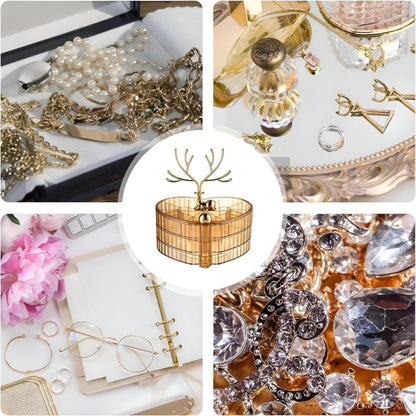 3L Acrylic Deer Jewelry Organizer