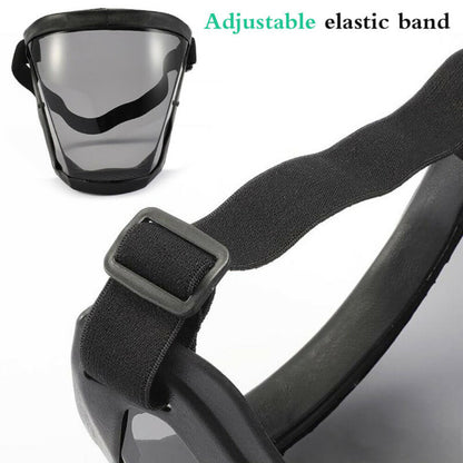 Super protective face shield with filter