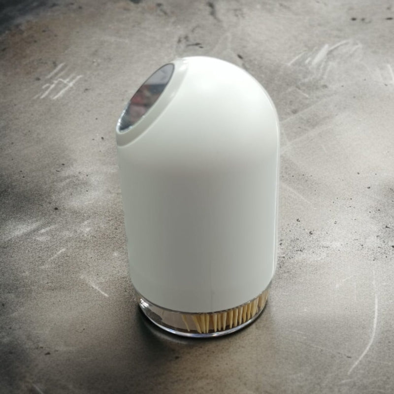 Portable Travel Toothpick Holder with Mini Mirror 100pcs