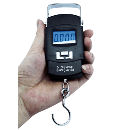 Portable highly precise electronic scale with lcd