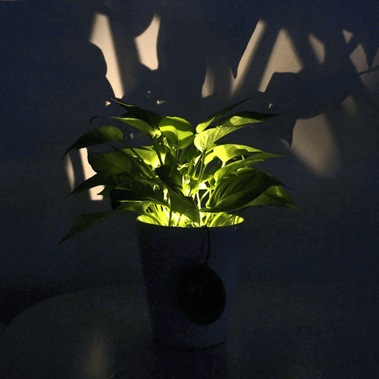Waterproof flower pot solar light lamp