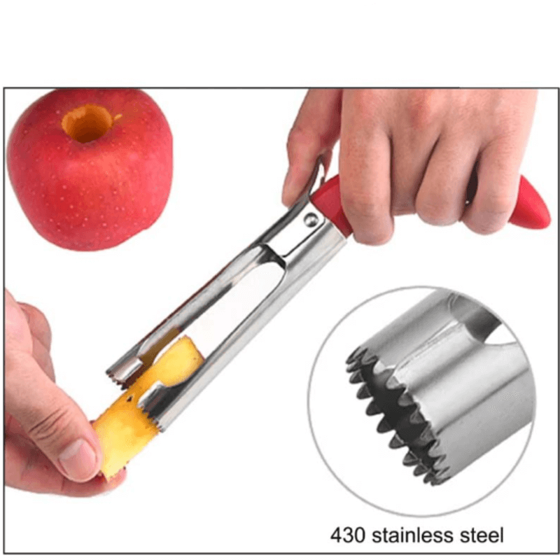 Stainless steel fruit corer