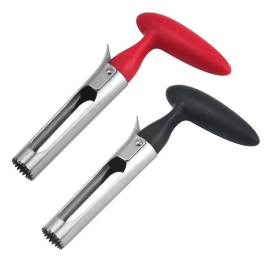 Stainless steel fruit corer