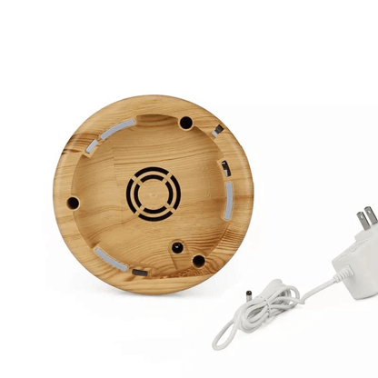 Cool air humidifier and aroma diffuser