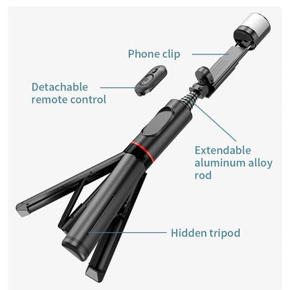 Selfie stick with fill light and tripod