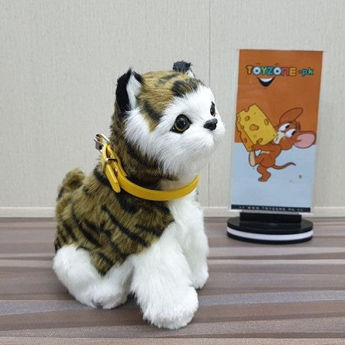 punched face persian cat (black & green)