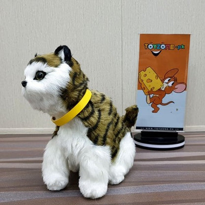 punched face persian cat (black & green)