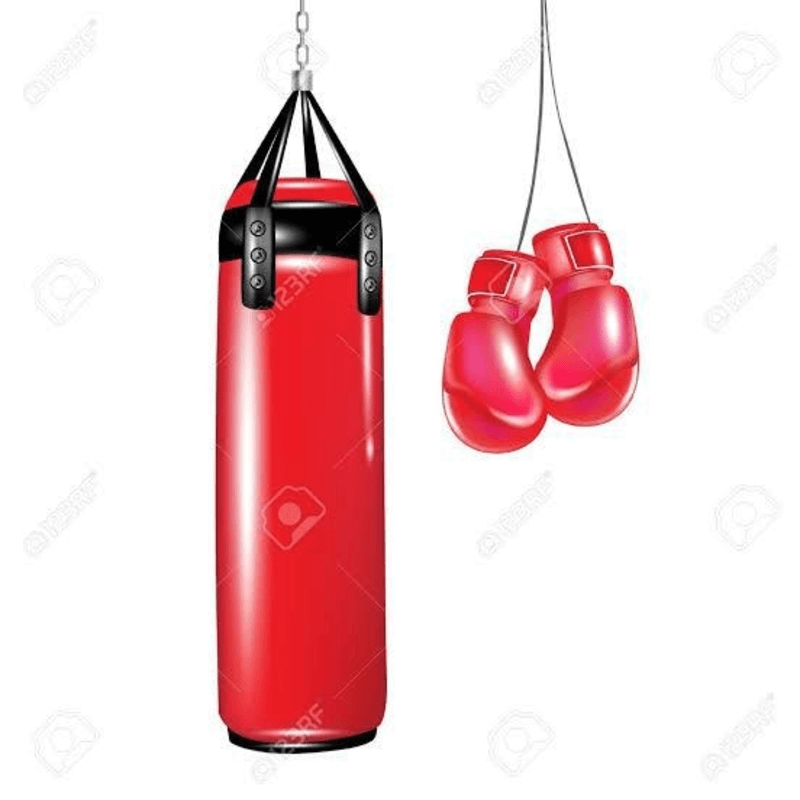  boxing punching bag with boxing gloves 