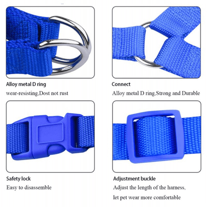 No pull puppy harness with leash