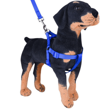 No pull puppy harness with leash