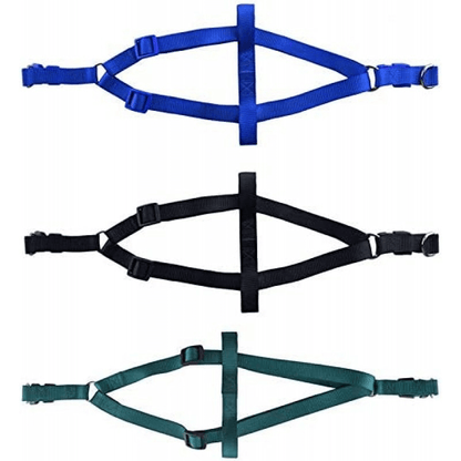 No pull puppy harness with leash