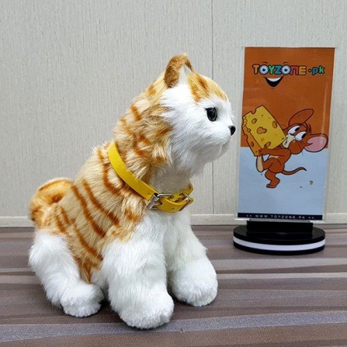 punchedfacepersiantoycatorangeandwhite