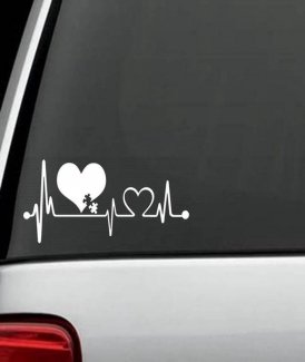 My Driving Scares Me Too Auto Car Trunk Thriller Rear Window Body Sticker  - Sale price - Buy online in Pakistan 